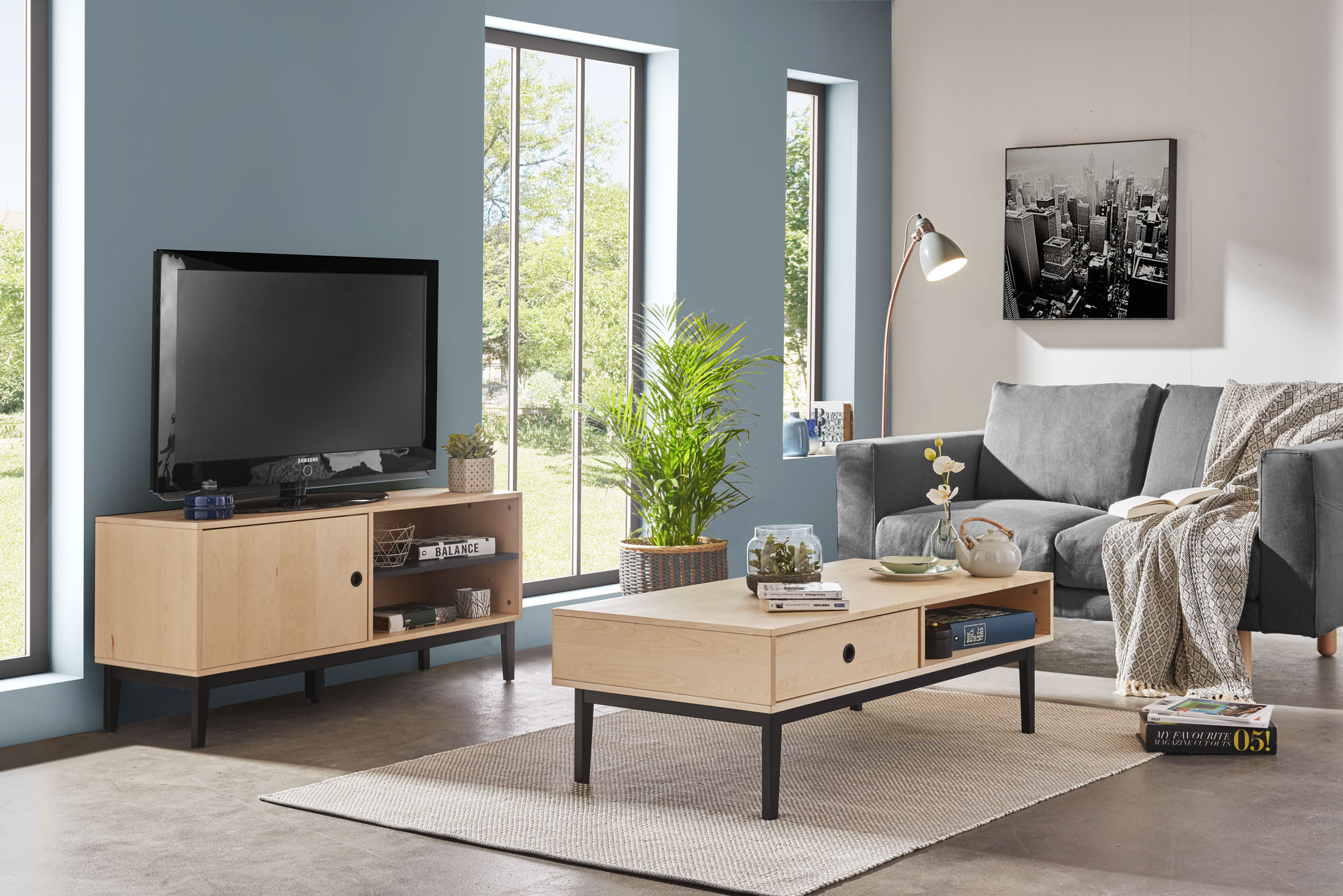 Ambiance studio - photo d'un salon avec table basse et meuble télé